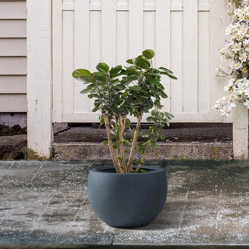 Large Planter Bowl - Indoor/Outdoor with Drainage