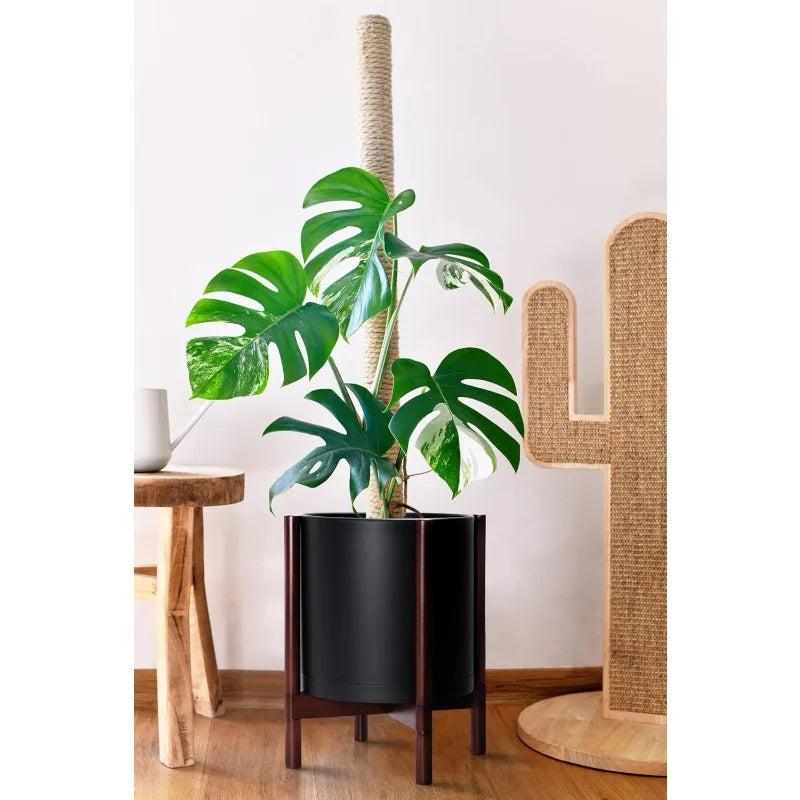 Planter with Wooden Stand - 12" Plastic Pot - Indoor - White & Black Matte Finish