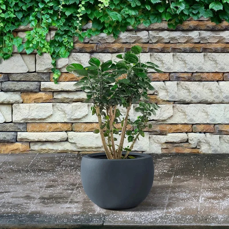 Large Planter Bowl - Indoor/Outdoor with Drainage