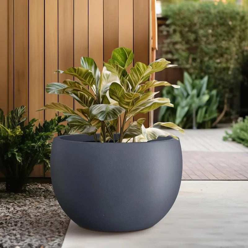 Large Planter Bowl - Indoor/Outdoor with Drainage